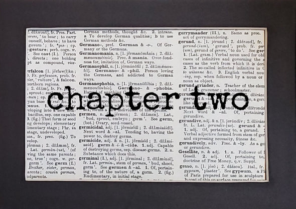 chapter two print