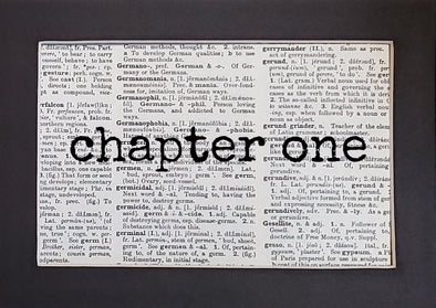 chapter one print