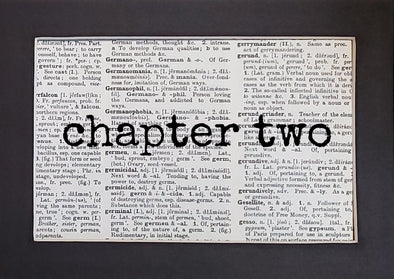 chapter two print