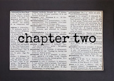 chapter two print – juNxtaposition®